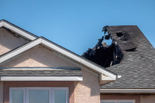 Top rated local Board Up Services specialists in Darwin, MN